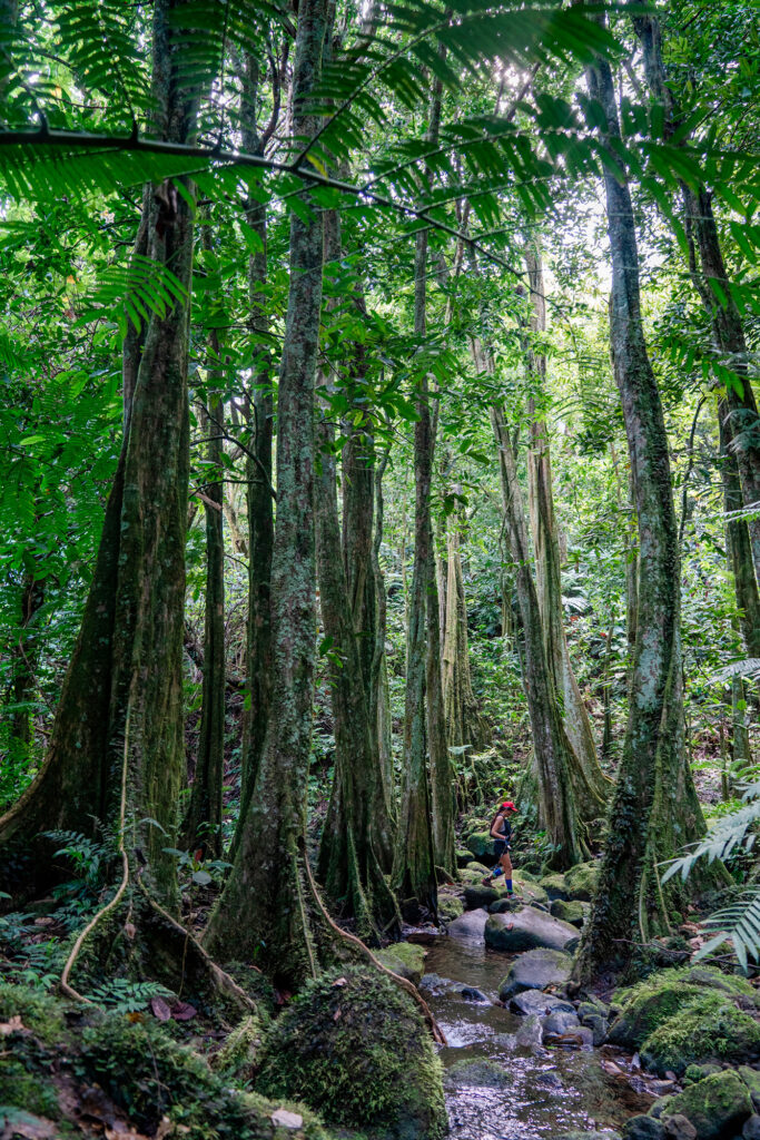 Coureur traversant un ruisseau dans la jungle lors du Tahiti Moorea Ultra Trail 2025