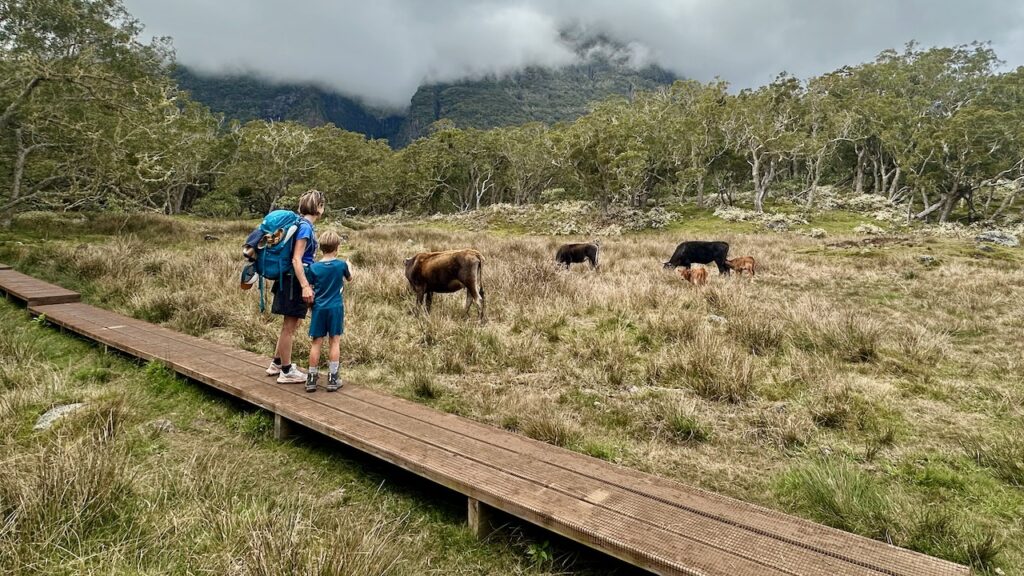 Randonnée en famille dans la Plaine des Tamarins à Mafate