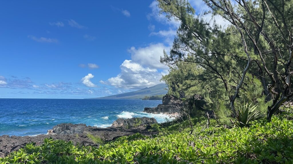 Sentier littoral entre l'Anse des Cascades et Piton Sainte-Rose